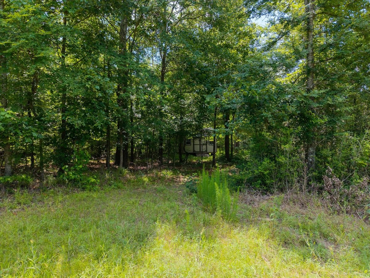 Tbd Williams Road Garrison, TX 75946 - Photo 18 of 18