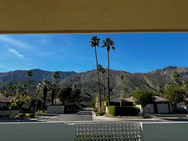 a view of a backyard