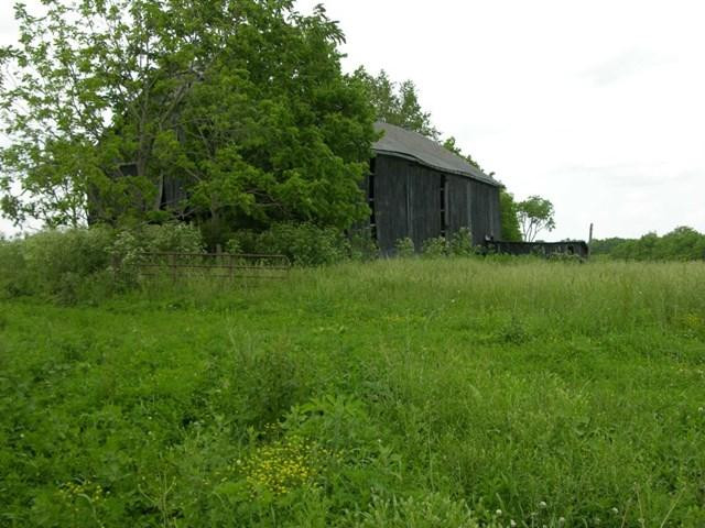6559 Combs Ferry Road Winchester, KY 40391 - Photo 20 of 22 Listing Photo