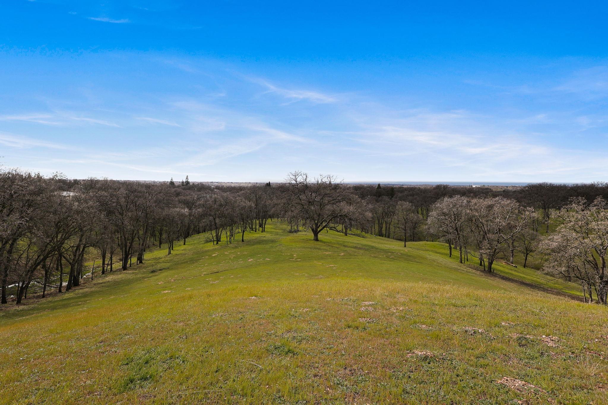 21755 Wilcox Road Red Bluff, CA 96080 - Photo 49 of 49