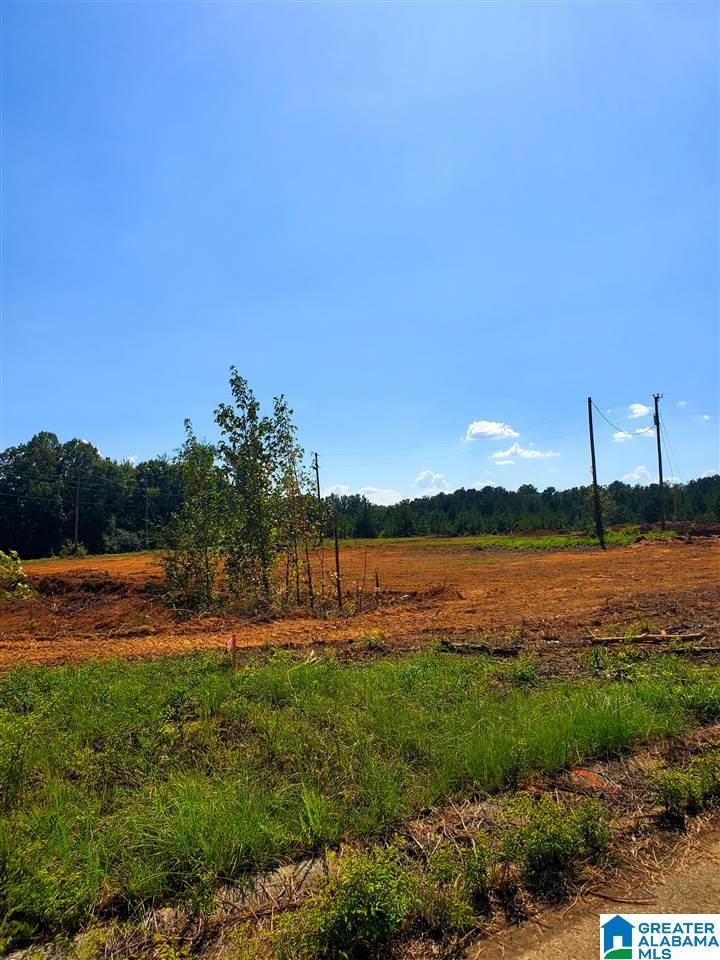 46 Hawk Lane Sylacauga, AL 35150 - Photo 9 of 10