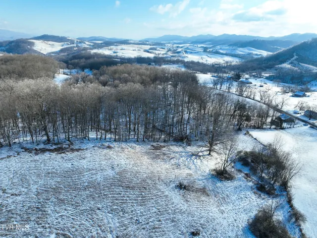 $225,000 | 31401 Old Saltworks Road, Meadowview, VA 24361