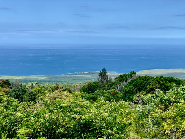 an aerial view of ocean with green space