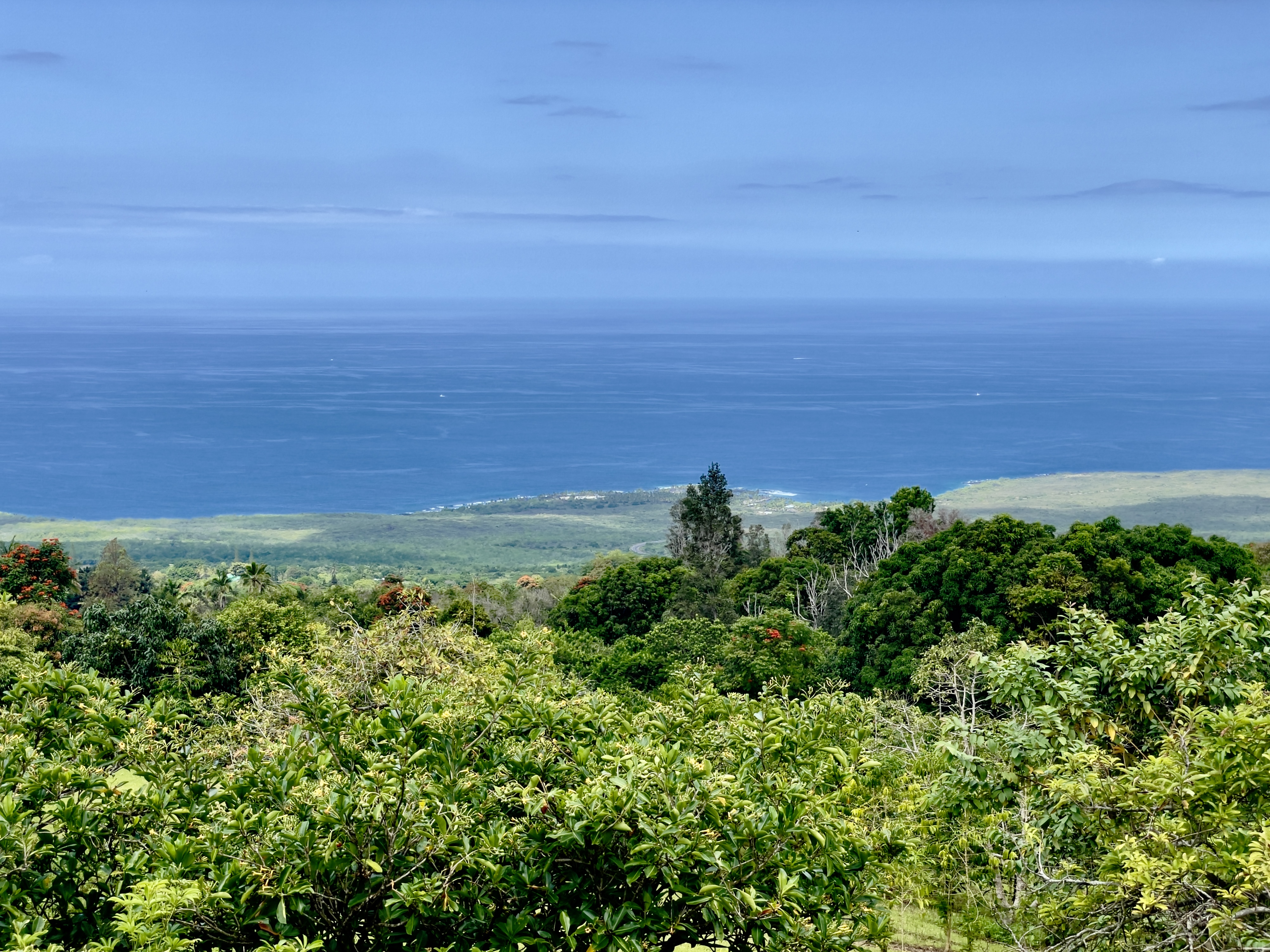 84-539 Telephone Exchange Road Captain Cook, HI 96704 - Photo 15 of 30 an aerial view of ocean with green space