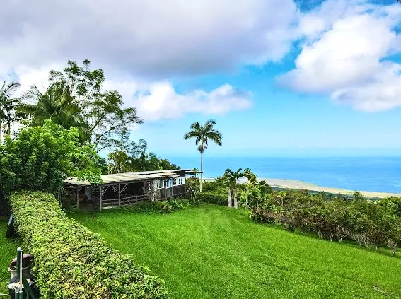 a view of a backyard with lawn chairs