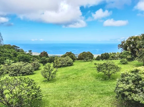 a view of a yard with a house