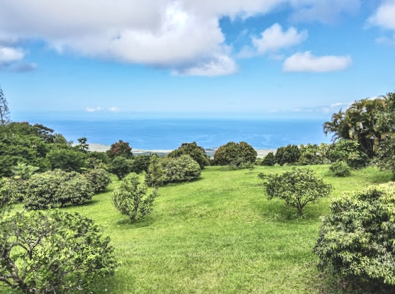 84-539 Telephone Exchange Road Captain Cook, HI 96704 - Photo 27 of 30 a view of a lake