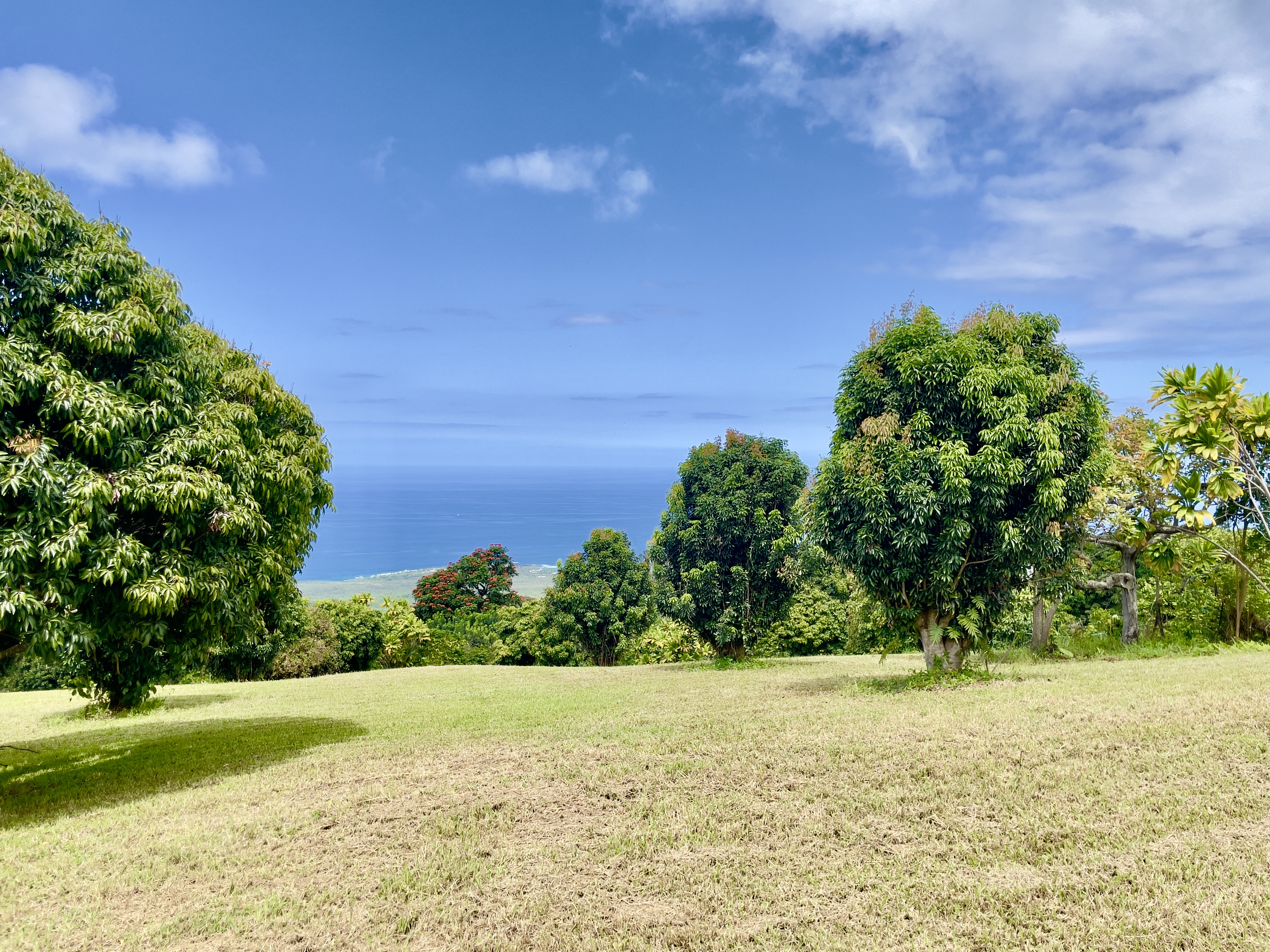 84-539 Telephone Exchange Road Captain Cook, HI 96704 - Photo 28 of 30 a view of a yard with a house