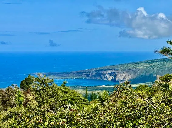 a view of a lake with a city