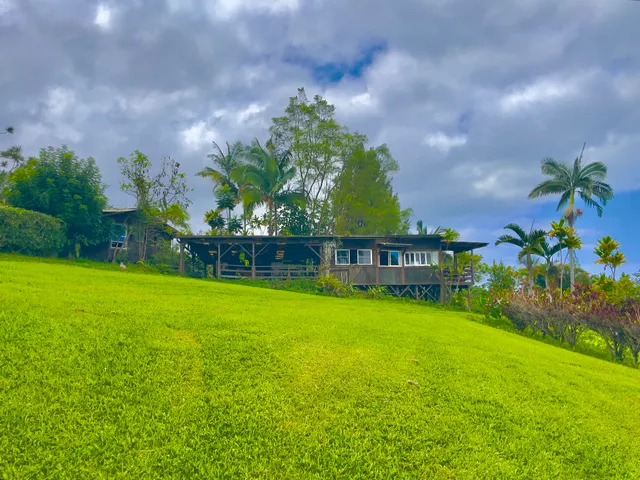 a view of yard with swimming pool and green space