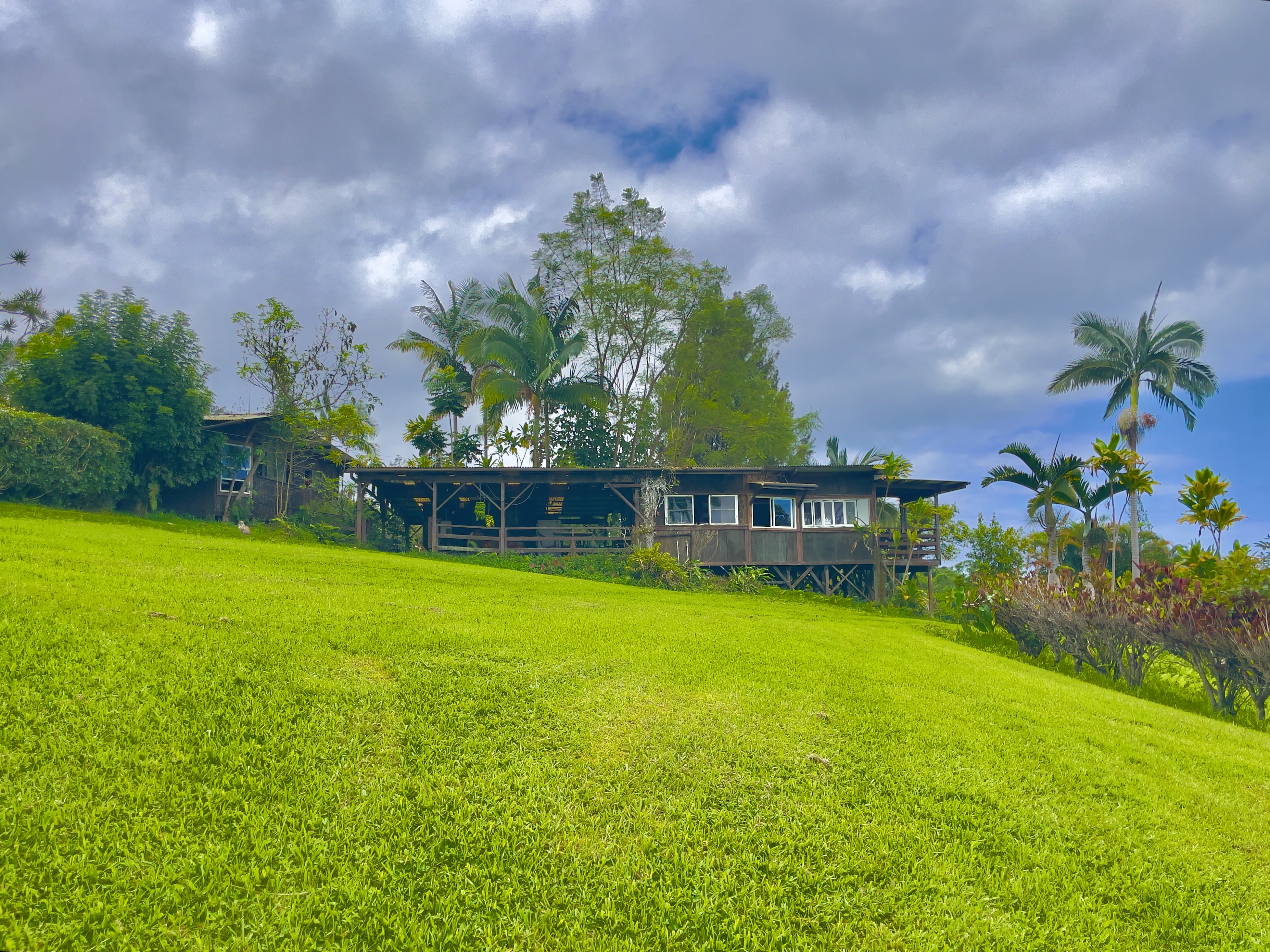 84-539 Telephone Exchange Road Captain Cook, HI 96704 - Photo 4 of 30 a view of yard with swimming pool and green space