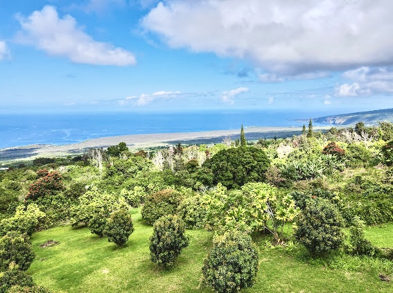 84-539 Telephone Exchange Road Captain Cook, HI 96704 - Photo 5 of 30 a view of a green field