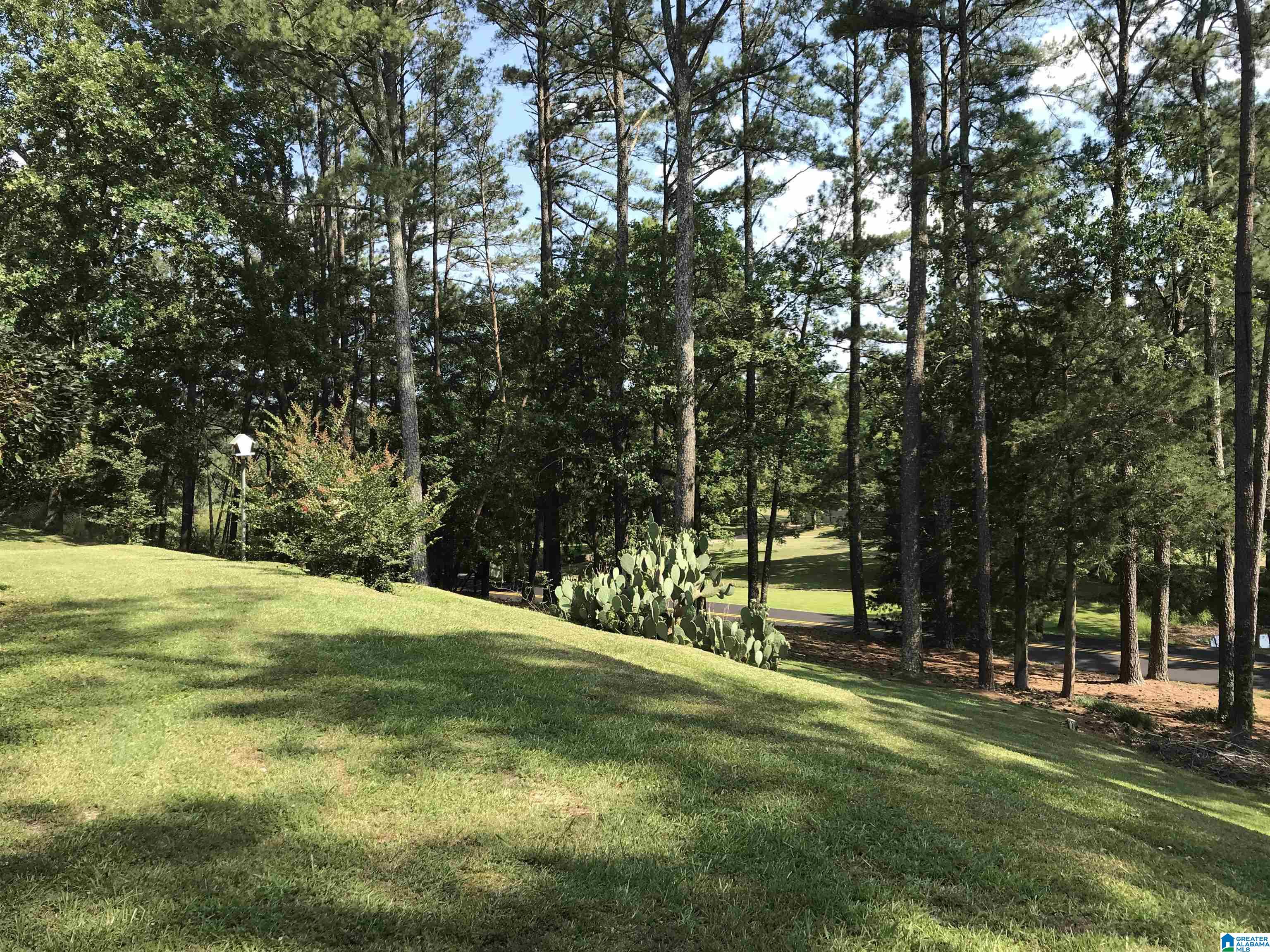 2880 Self Creek Road Warrior, AL 35180 - Photo 9 of 40