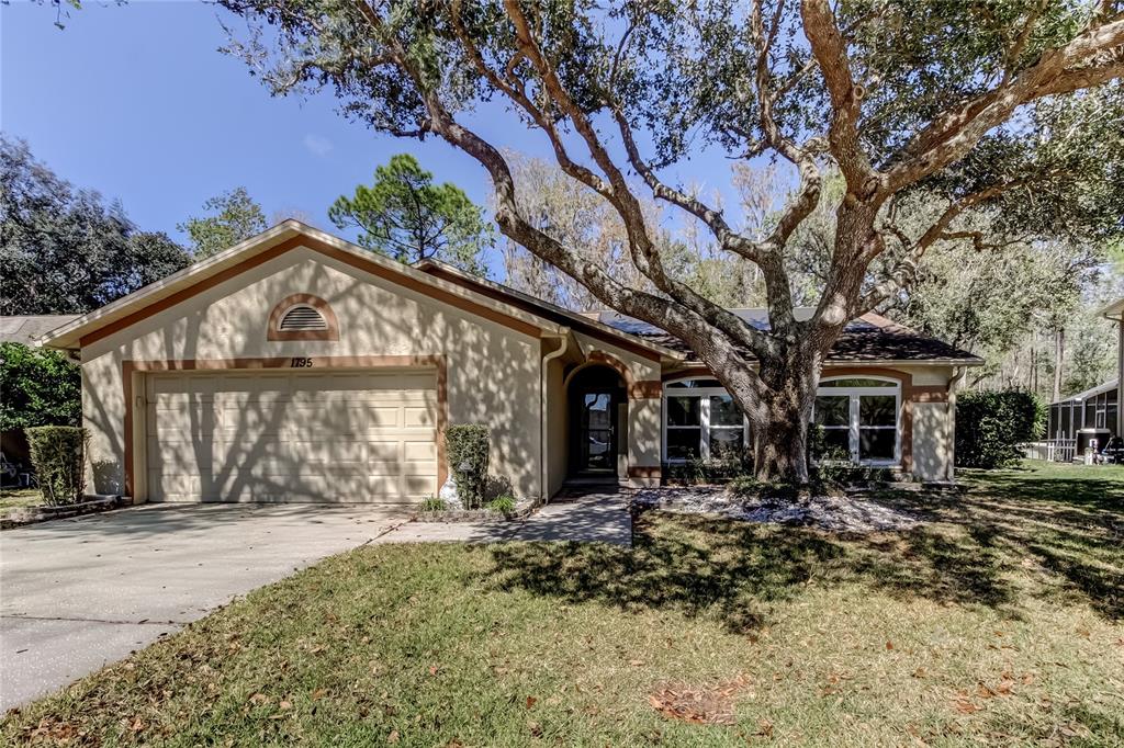 1795 Bayhill Drive Oldsmar, FL 34677 - Photo 2 of 58 a front view of house with yard outdoor seating and barbeque oven
