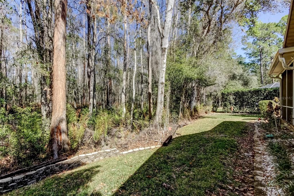 1795 Bayhill Drive Oldsmar, FL 34677 - Photo 46 of 58