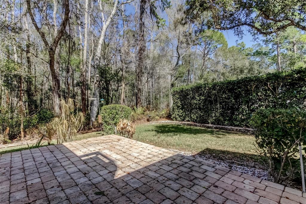 1795 Bayhill Drive Oldsmar, FL 34677 - Photo 47 of 58