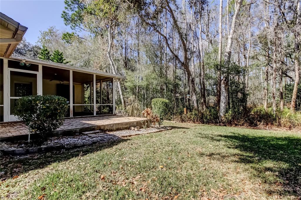 1795 Bayhill Drive Oldsmar, FL 34677 - Photo 48 of 58