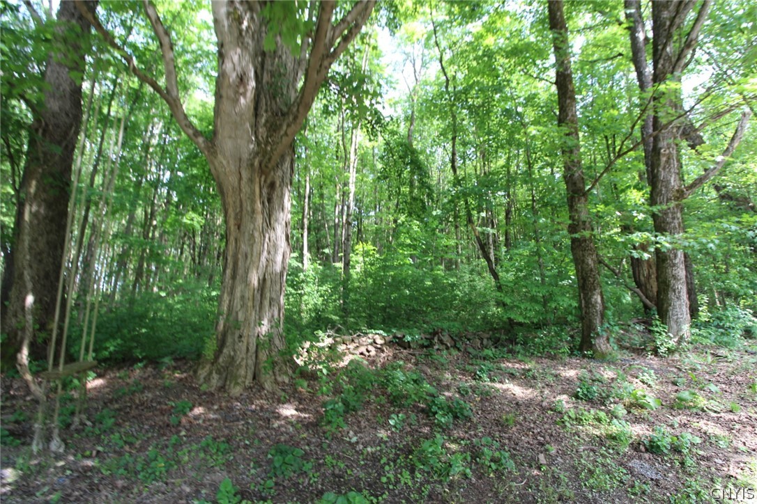 376 County Rte 22 Parish, NY 13131 - Photo 11 of 44