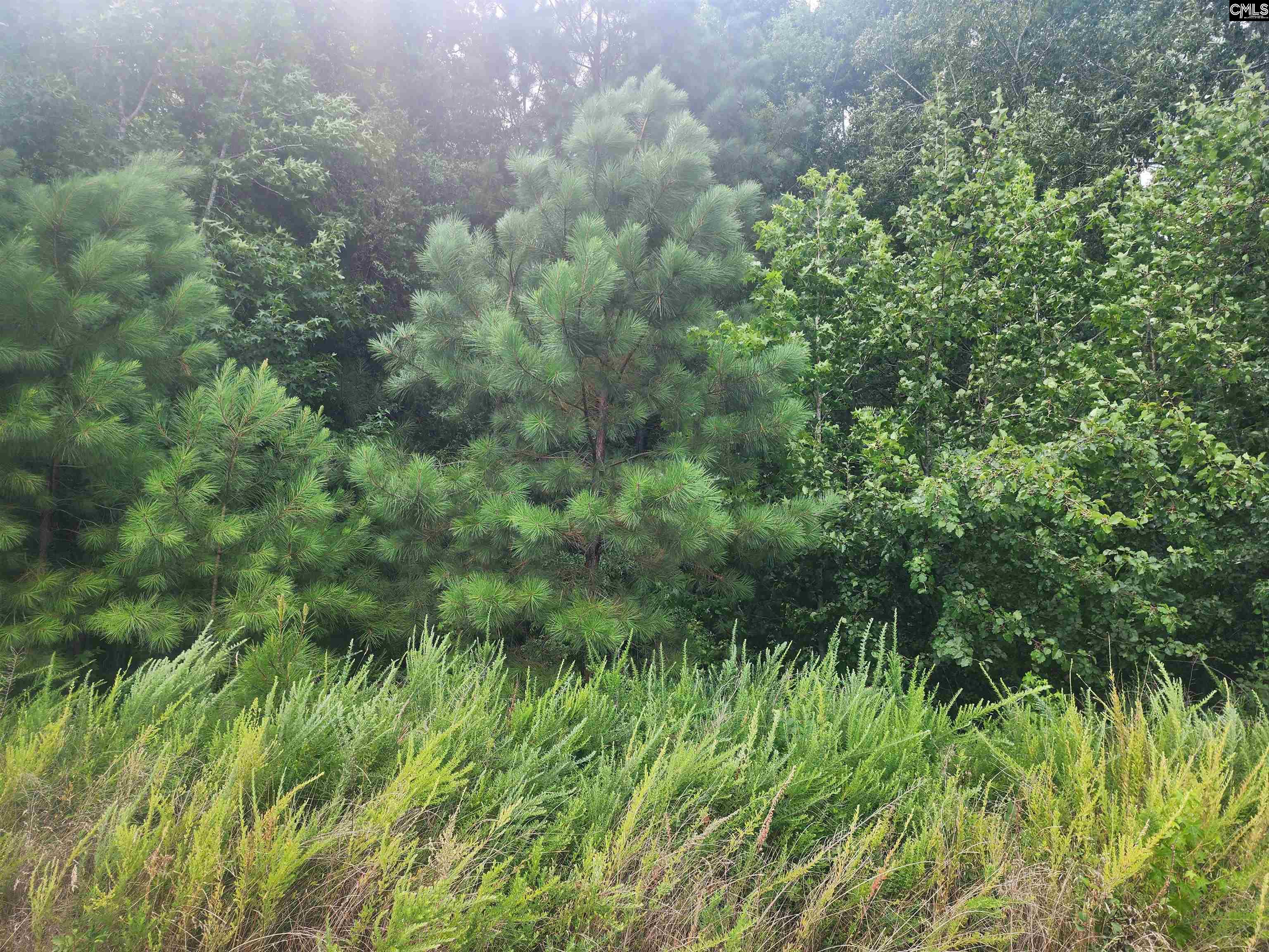 Forest Ridge Drive Newberry, SC 29108 - Photo 1 of 3