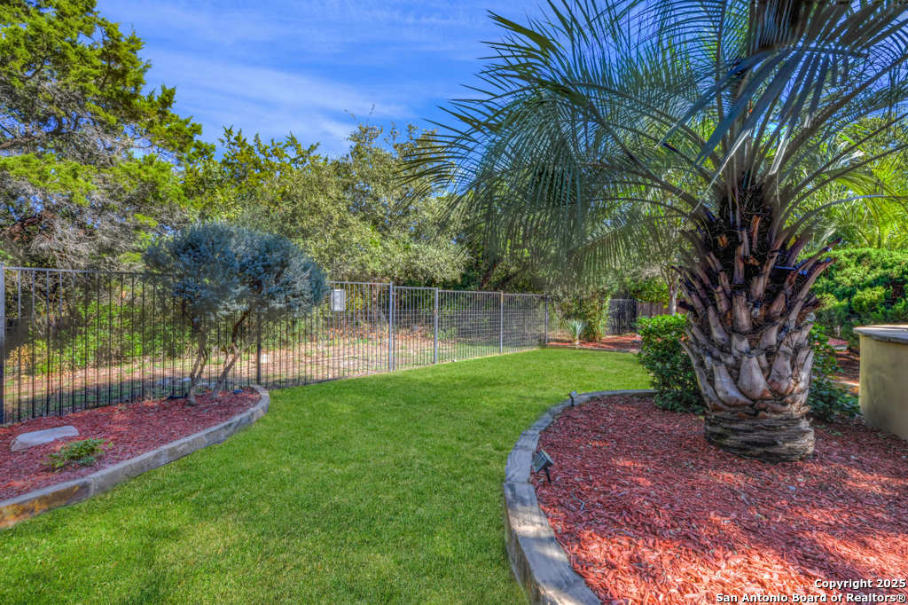 142 Candelaria Helotes, TX 78023 - Photo 41 of 53 a view of a garden with a tree