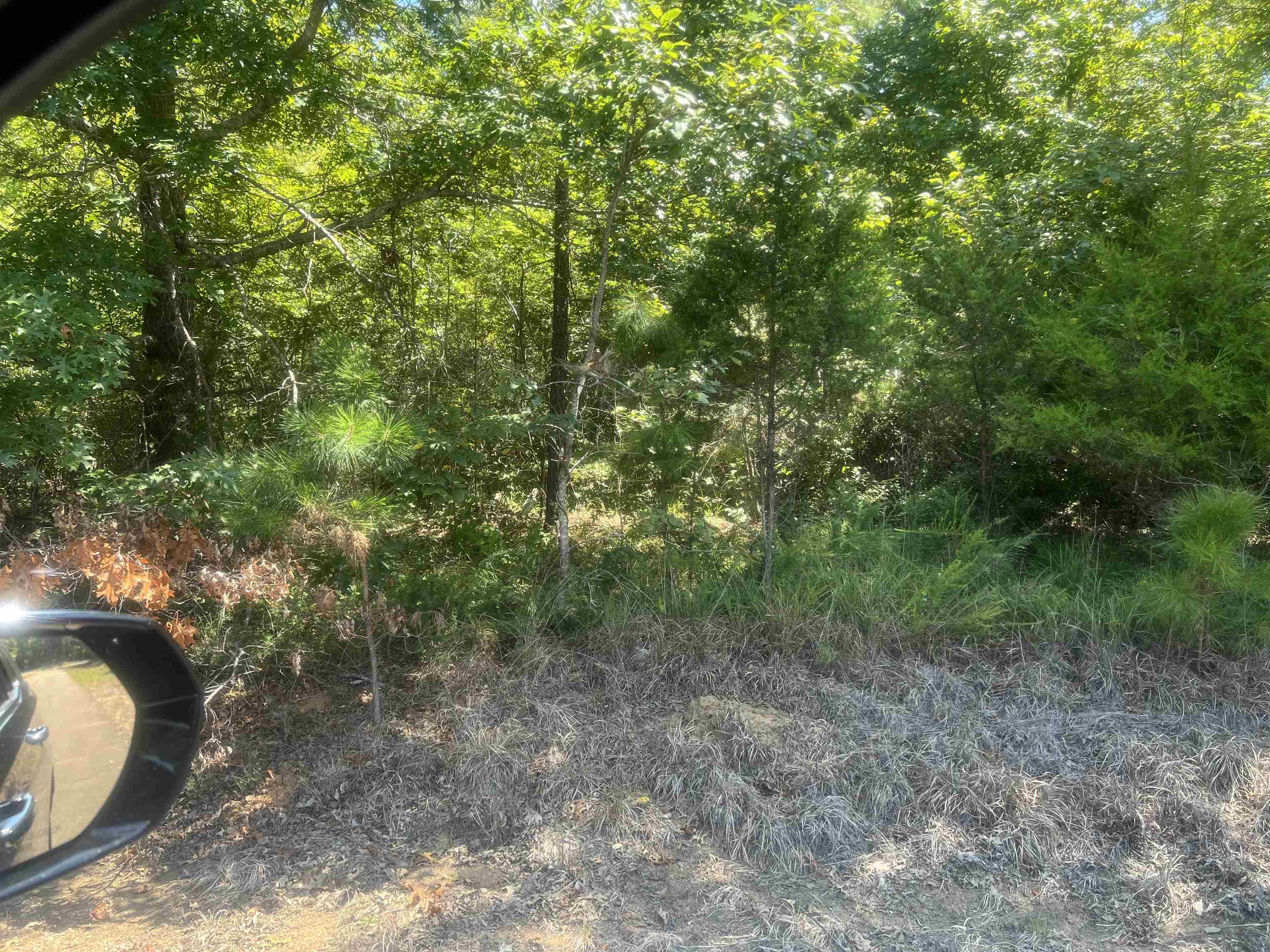 Big Springs Road Medon, TN 38356 - Photo 2 of 5 a view of a forest with a sink