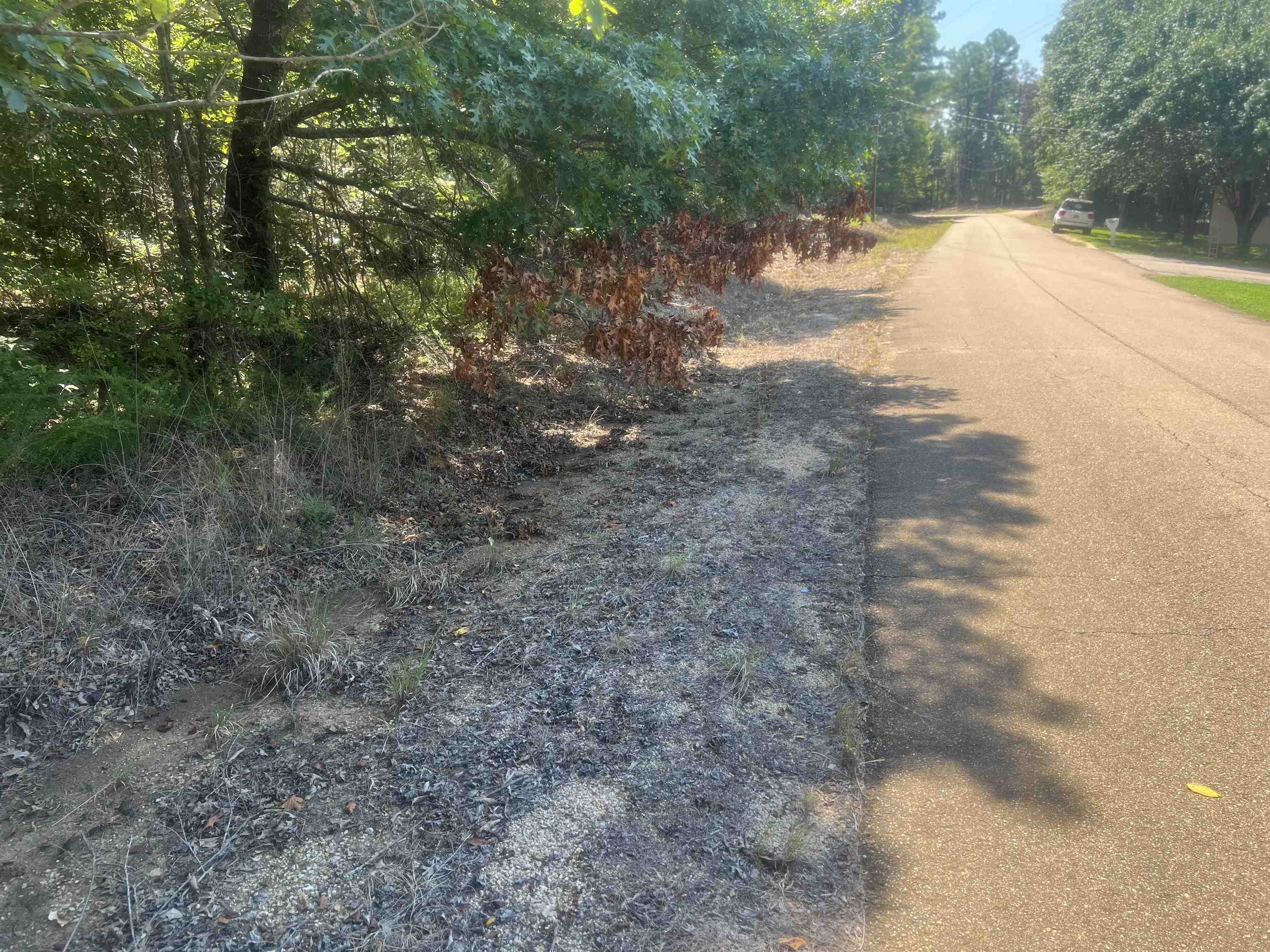 Big Springs Road Medon, TN 38356 - Photo 4 of 5 a view of a yard with plants and trees