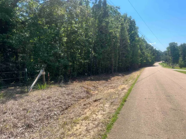 a view of backyard with green space