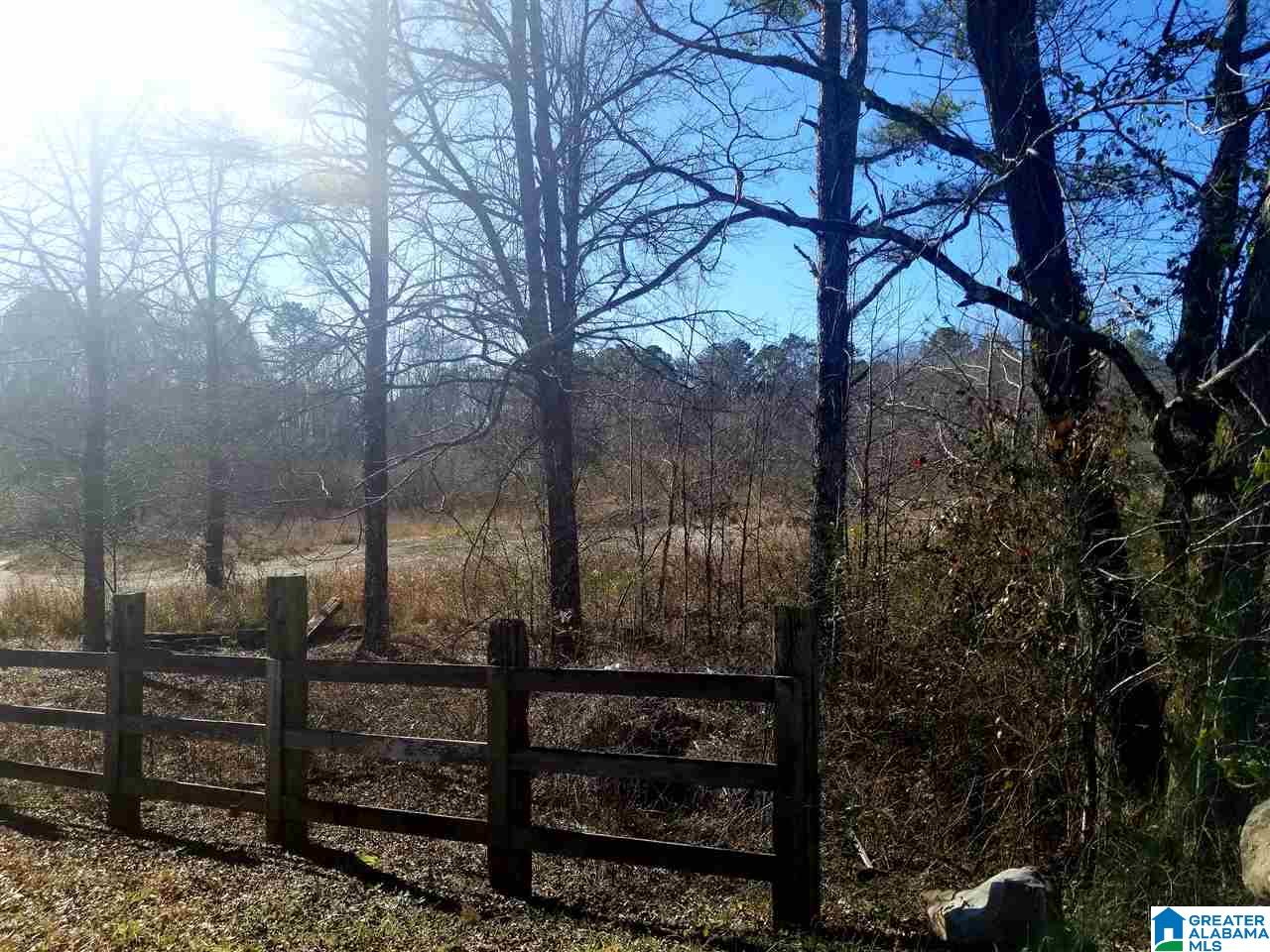 11640 Bear Creek Road Vandiver, AL 35176 - Photo 1 of 10