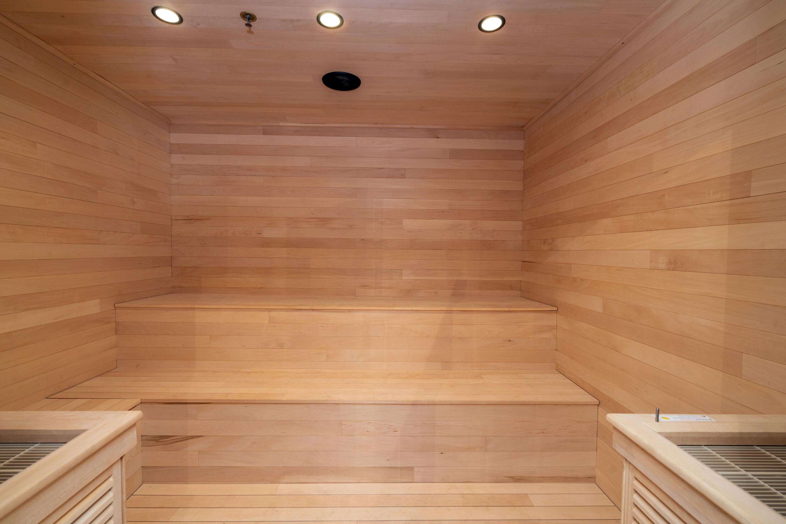 180 Liberty Bell Lane Telluride, CO 81435 - Photo 39 of 57 Sauna