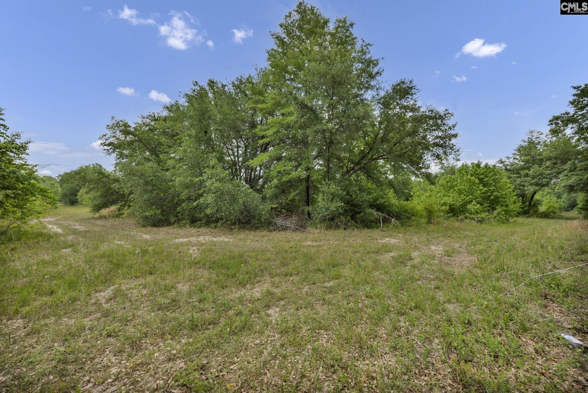 1244 Weston Road Hopkins, SC 29061 - Photo 62 of 67