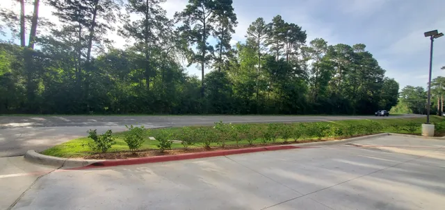 a view of a garden with potted plants