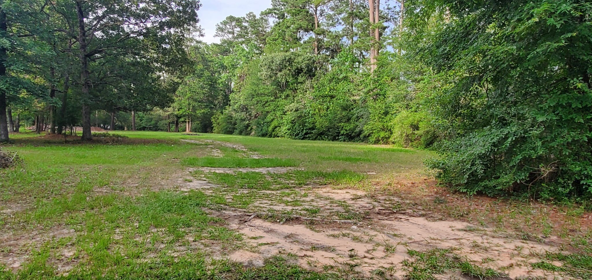 15291 Bart Lake Road Conroe, TX 77303 - Photo 6 of 8 a view of a big yard with plants and large trees