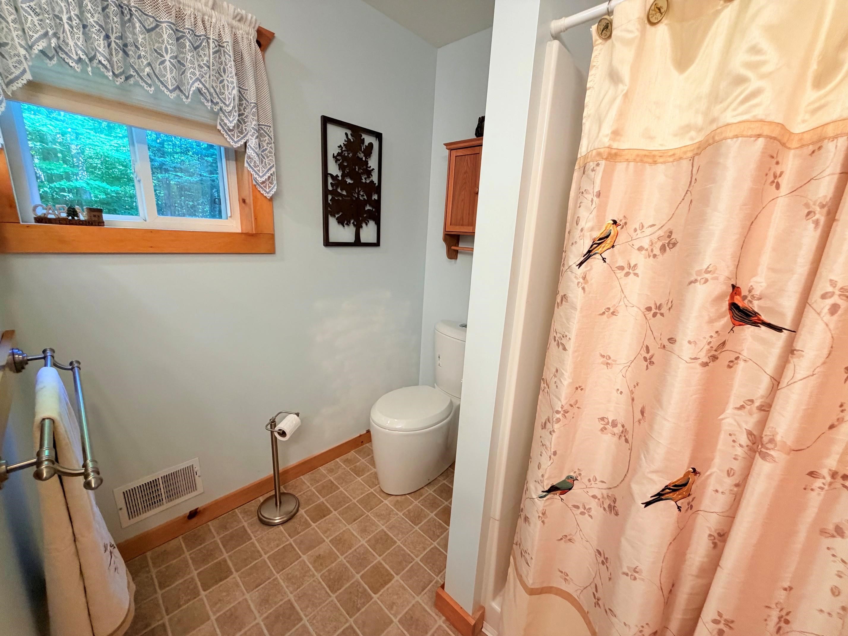 5020 Satterly Lake Road Mancelona, MI 49659 - Photo 20 of 61