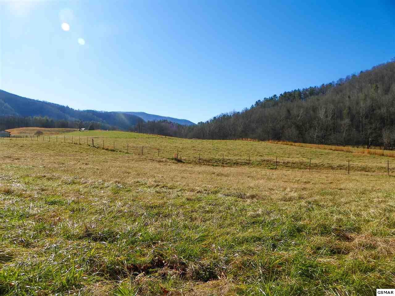 1085 Highway 107 Del Rio, TN 37727 - Photo 25 of 32