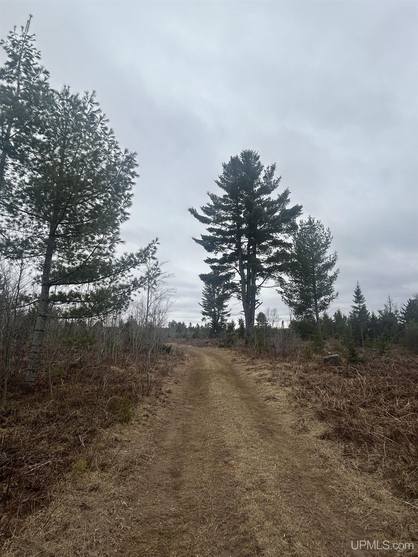 Parcel 4-off Parcel 4-off Johnson Lake Road Gwinn, MI 49841 - Photo 1 of 7