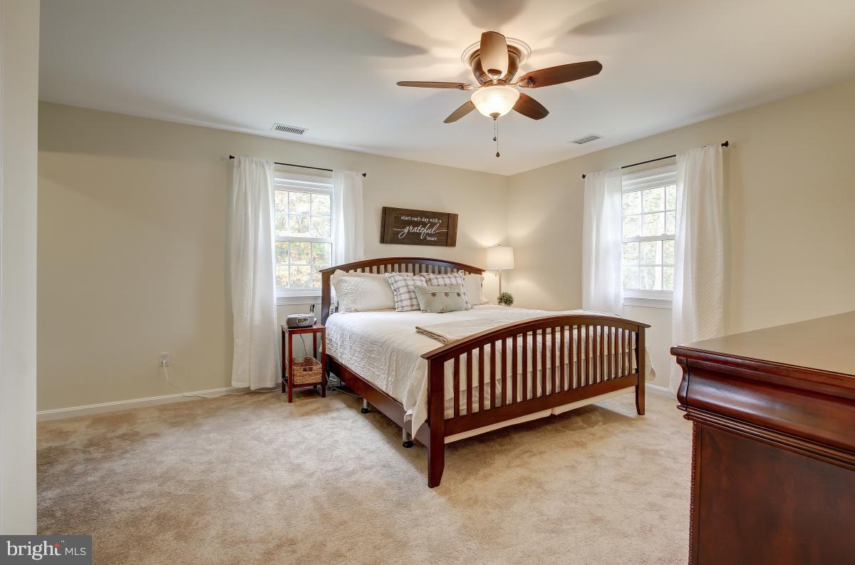 6588 Kelly Road Warrenton, VA 20187 - Photo 22 of 39 Primary Bedroom with Ceiling Fan, Newer Carpet