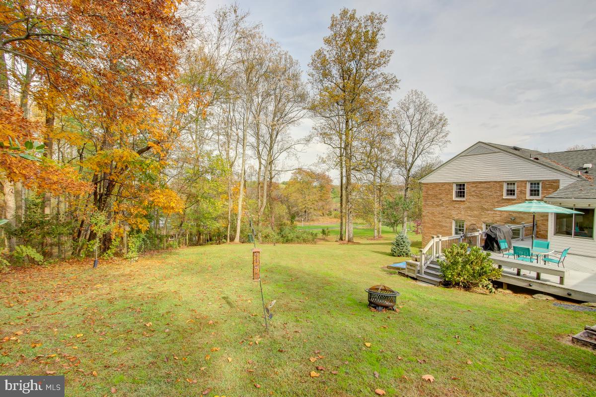 6588 Kelly Road Warrenton, VA 20187 - Photo 37 of 39 Beautiful Landscape with Autumn Tree Leaves