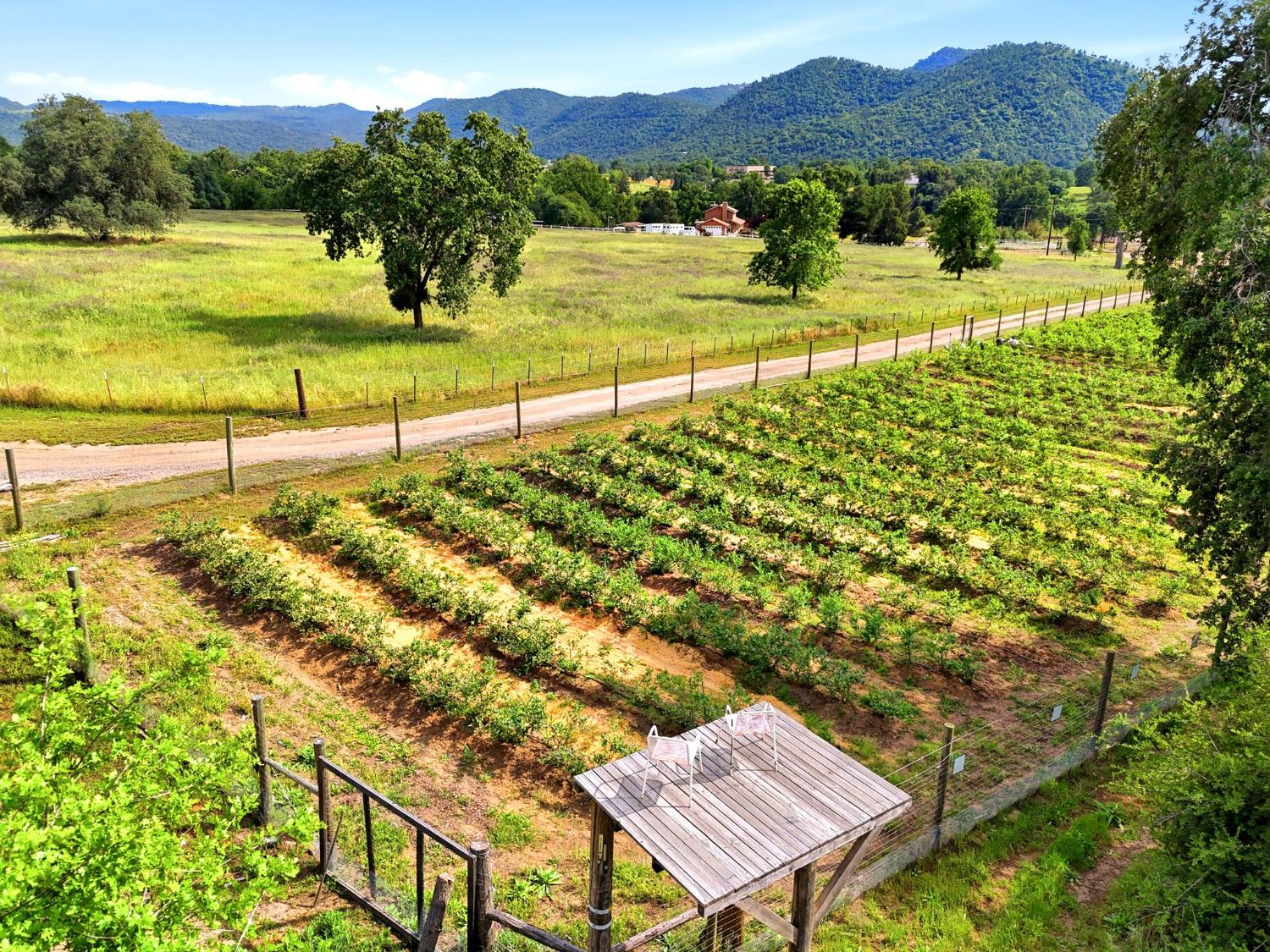 39348 Dunlap Road Dunlap, CA 93621 - Photo 5 of 97