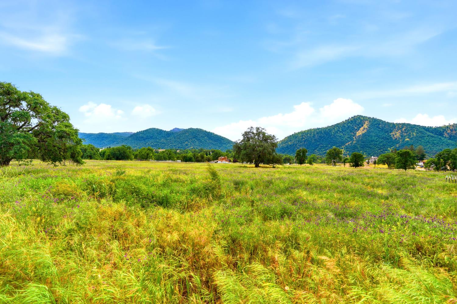 39348 Dunlap Road Dunlap, CA 93621 - Photo 73 of 97