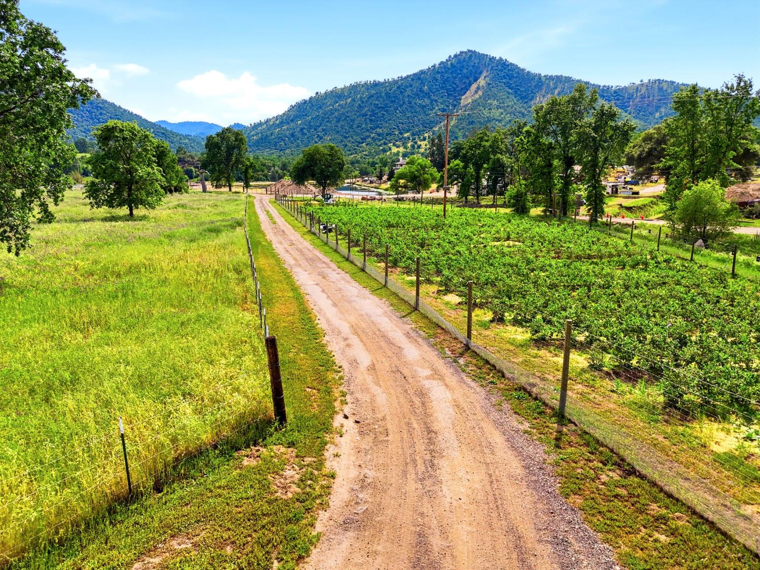 39348 Dunlap Road Dunlap, CA 93621 - Photo 91 of 97