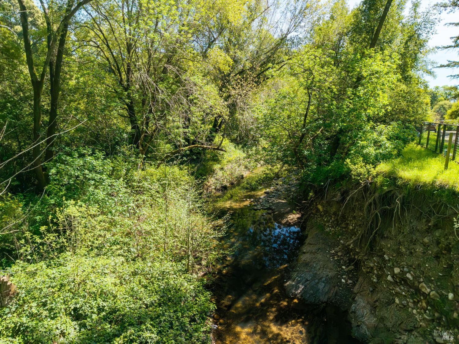 3320 Redwood Road Napa, CA 94558 - Photo 56 of 57 a view of a lush green forest