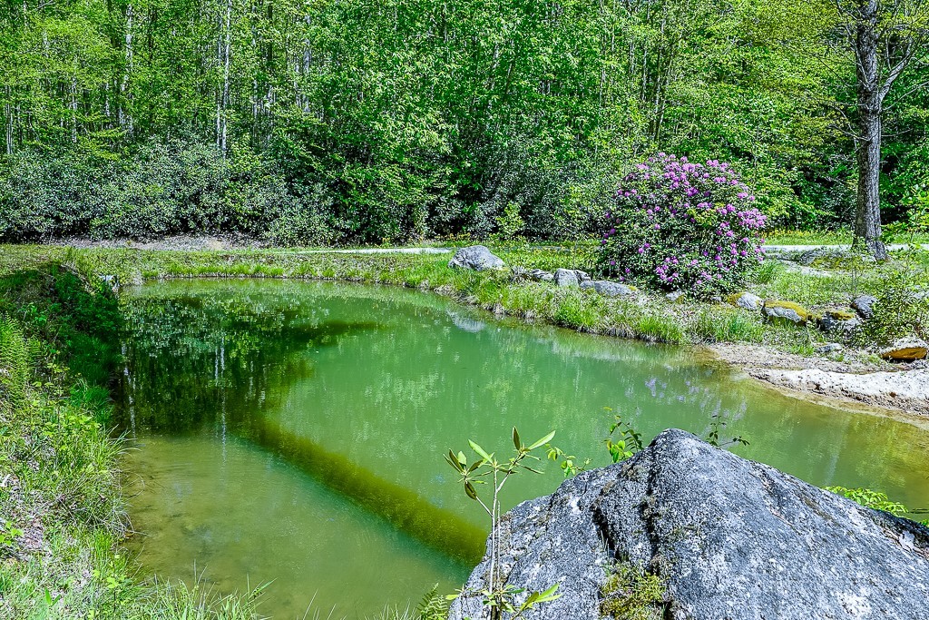 Buckeye Ridge Road Beech Mountain, NC 28604 - Photo 7 of 14