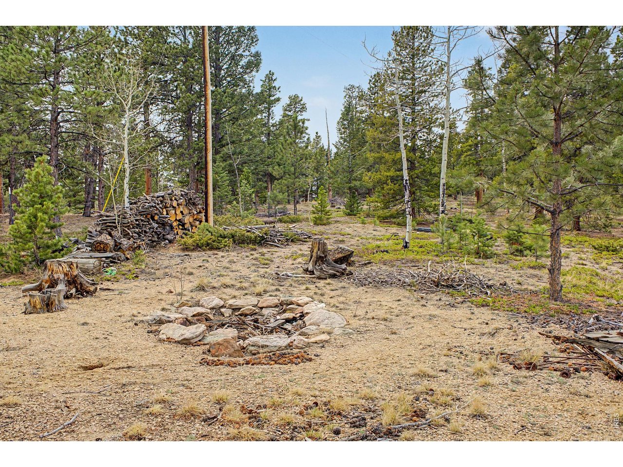 76 Highlands Drive Bailey, CO 80421 - Photo 40 of 49 a view of outdoor space with trees
