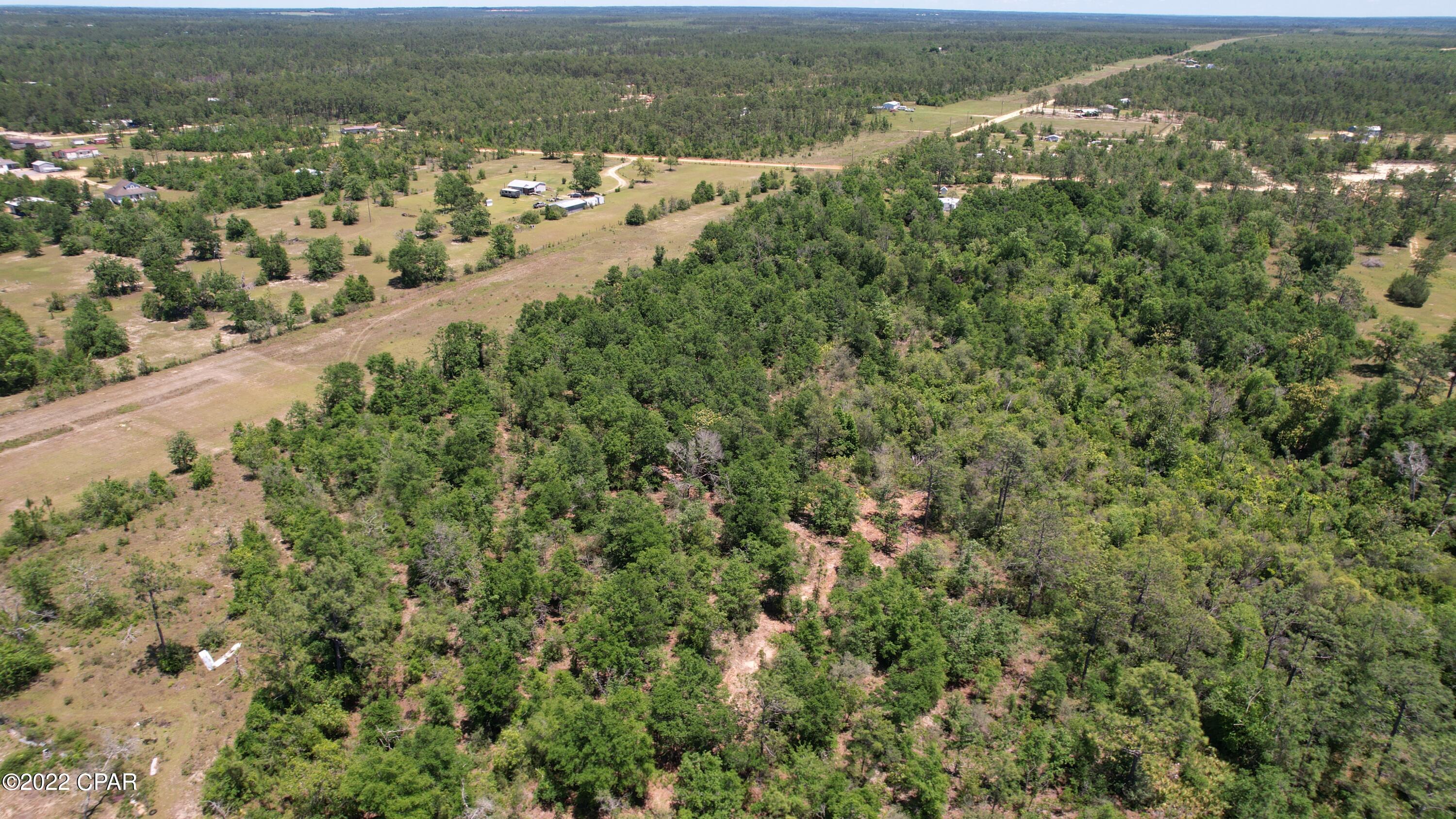 0 Diddly Road Chipley, FL 32428 - Photo 19 of 25 Gallery Image 19
