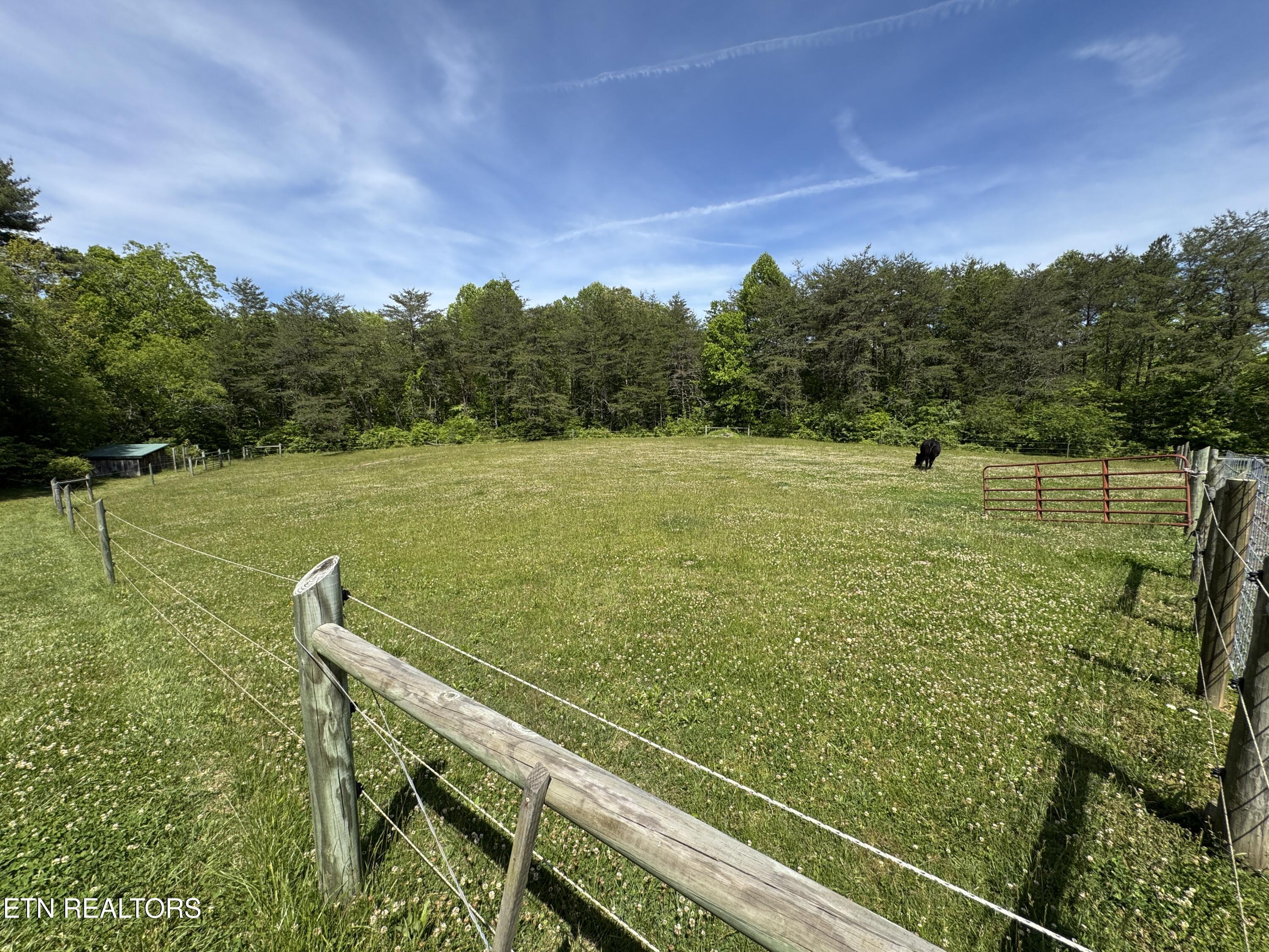 4455 Jonesville Road Clarkrange, TN 38553 - Photo 45 of 57 IMG_7166