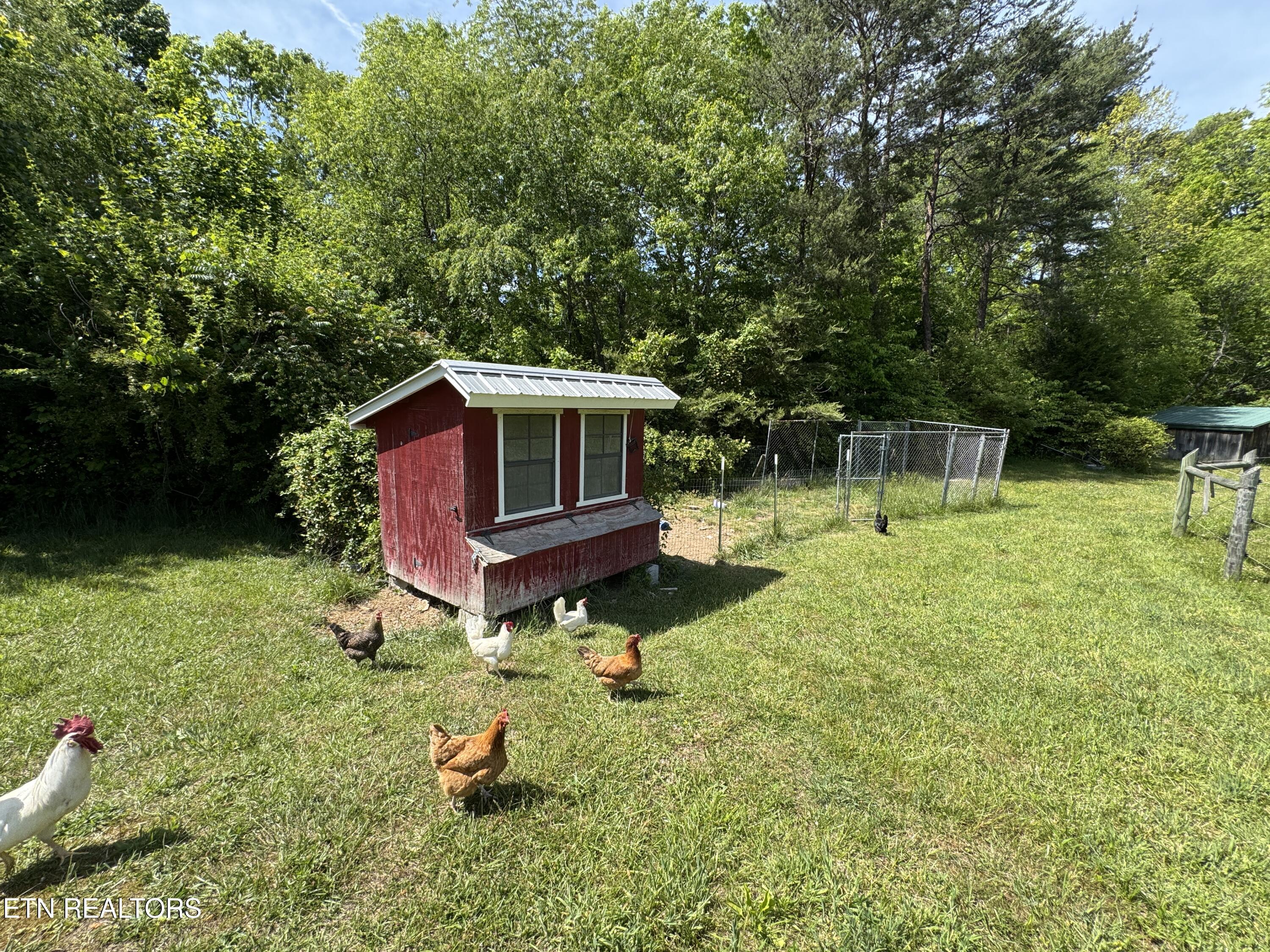4455 Jonesville Road Clarkrange, TN 38553 - Photo 46 of 57 IMG_7169
