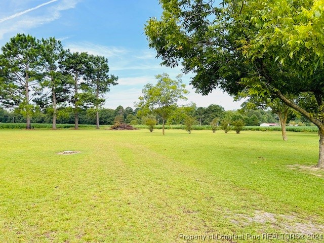 9543 Deep Branch Road Pembroke, NC 28372 - Photo 16 of 25