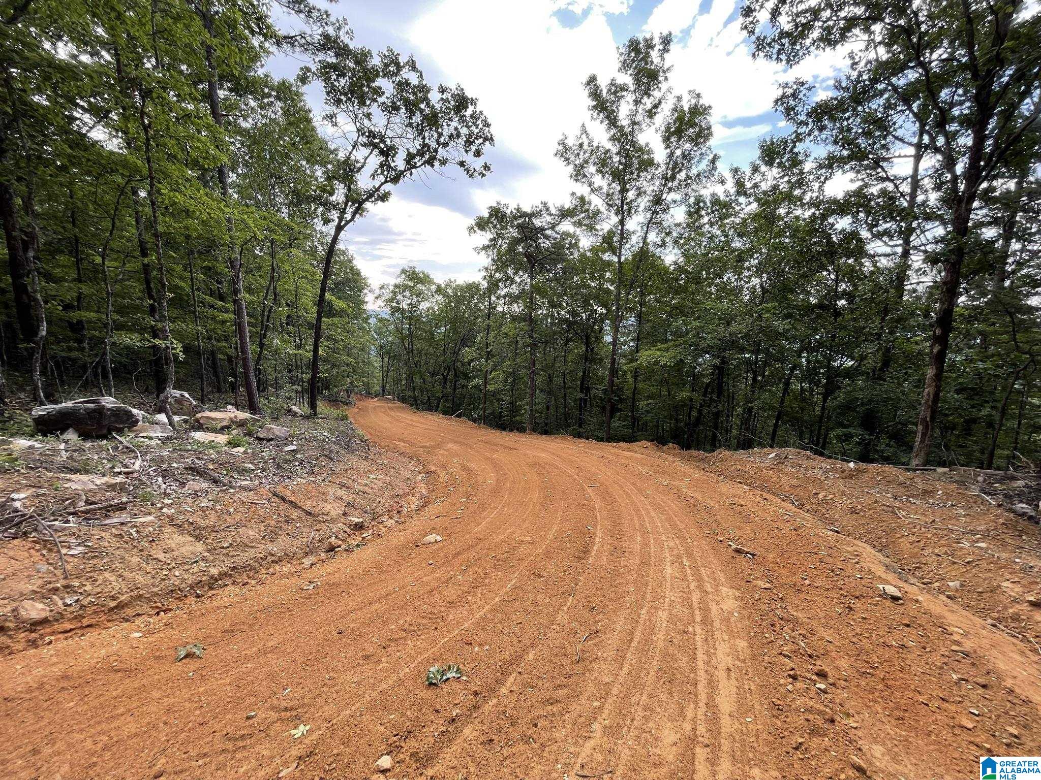 0 Scenic Road Jacksonville, AL 36265 - Photo 13 of 42
