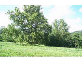 9320 West Tom Phillips Road Bloomington, IN 47403 - Photo 7 of 11 Gallery Image 7