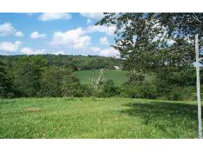 9320 West Tom Phillips Road Bloomington, IN 47403 - Photo 8 of 11 Gallery Image 8